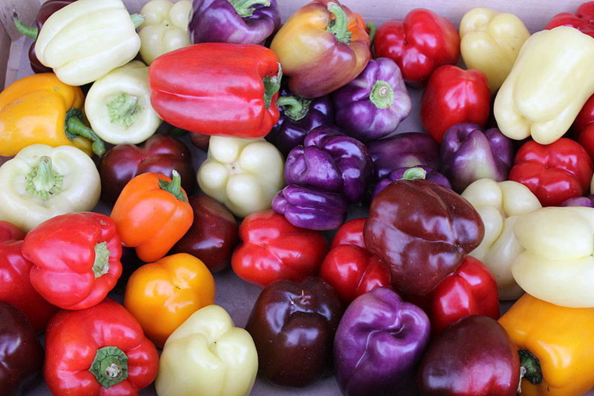 bell pepper, red, yellow, SD Desktop Wallpaper