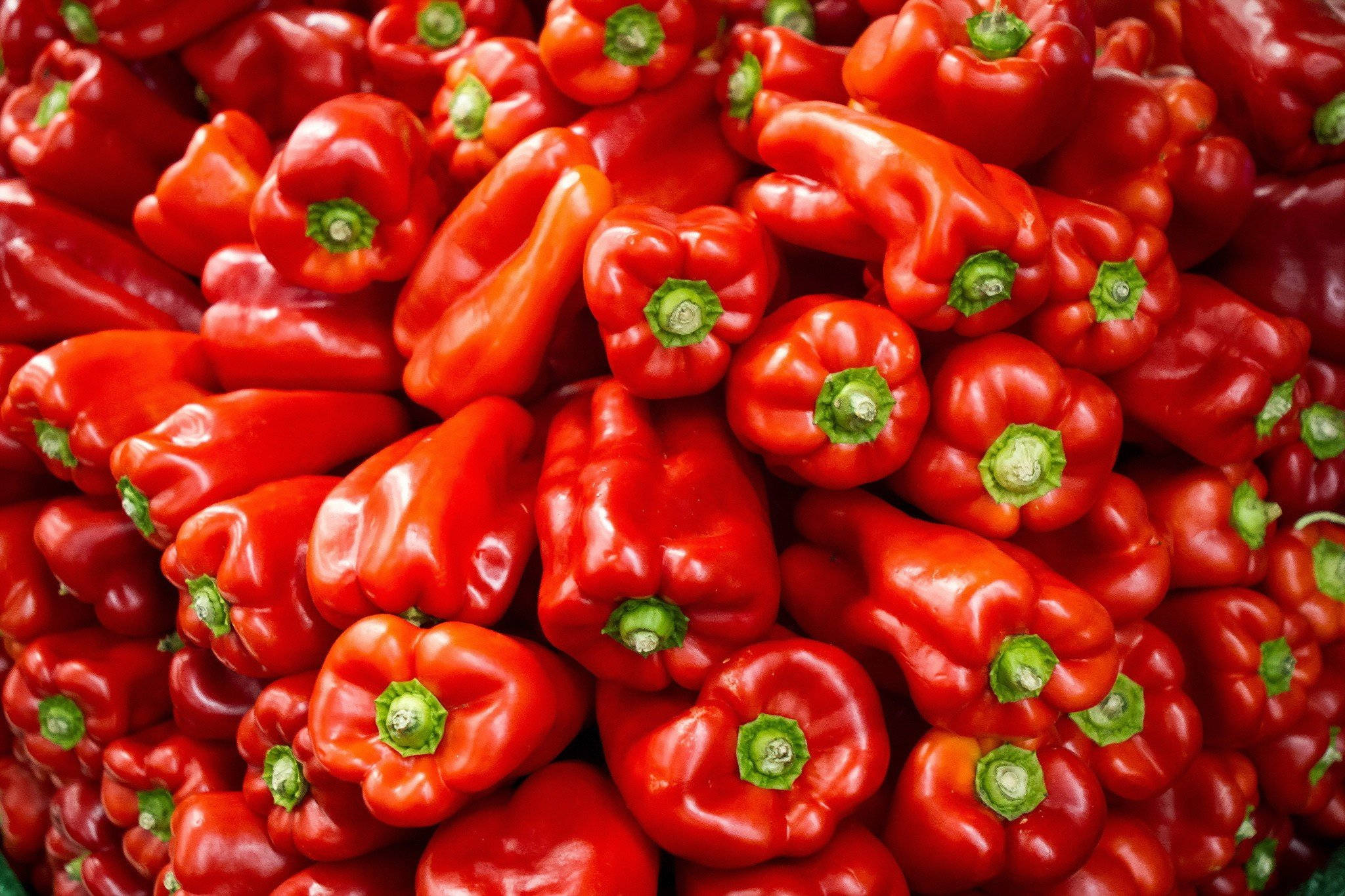 red bell pepper, glossy red bell peppers, green stems, Full HD Desktop Wallpaper