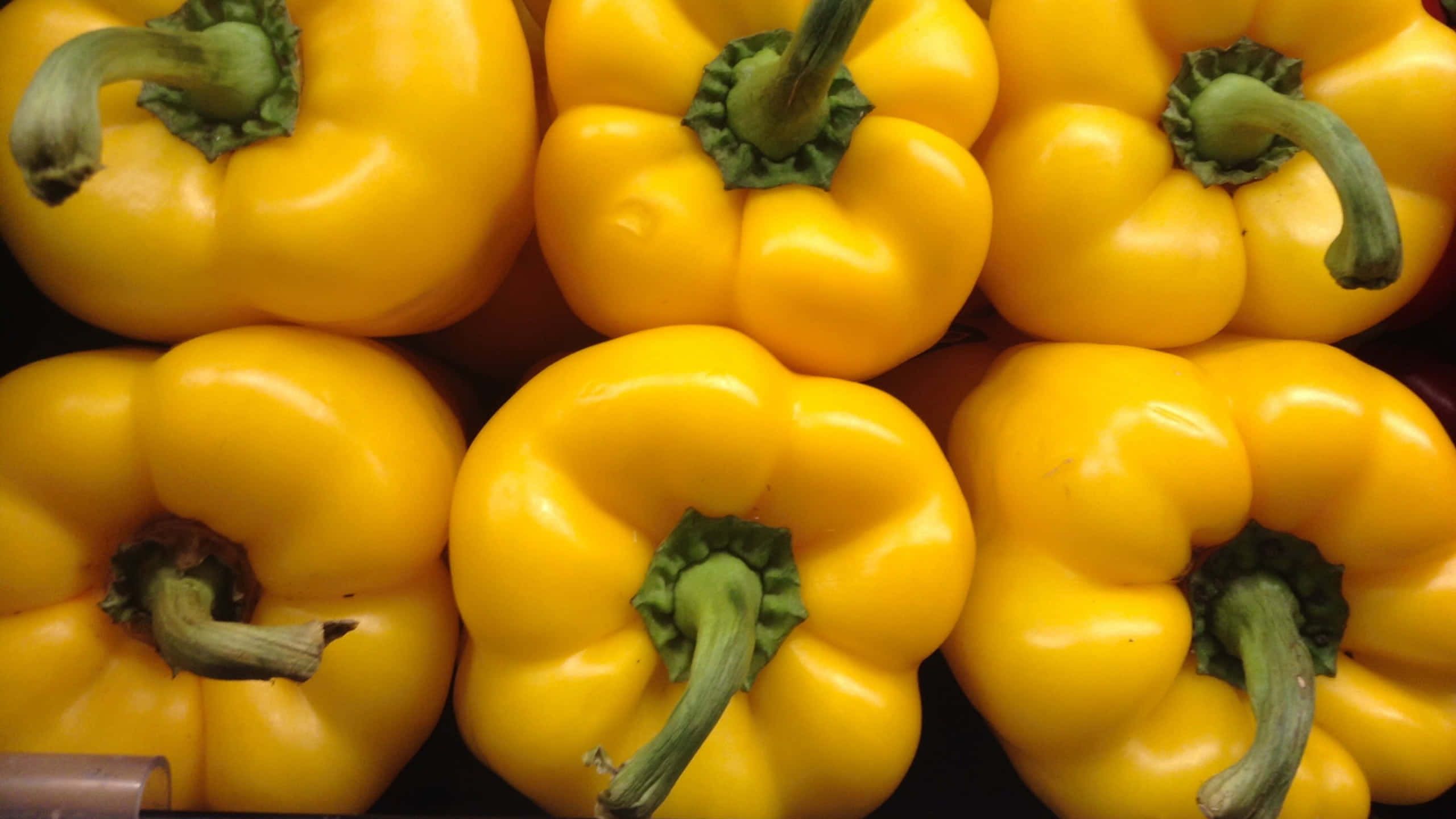 yellow bell pepper, glossy skin, green stems, 2K Desktop Wallpaper