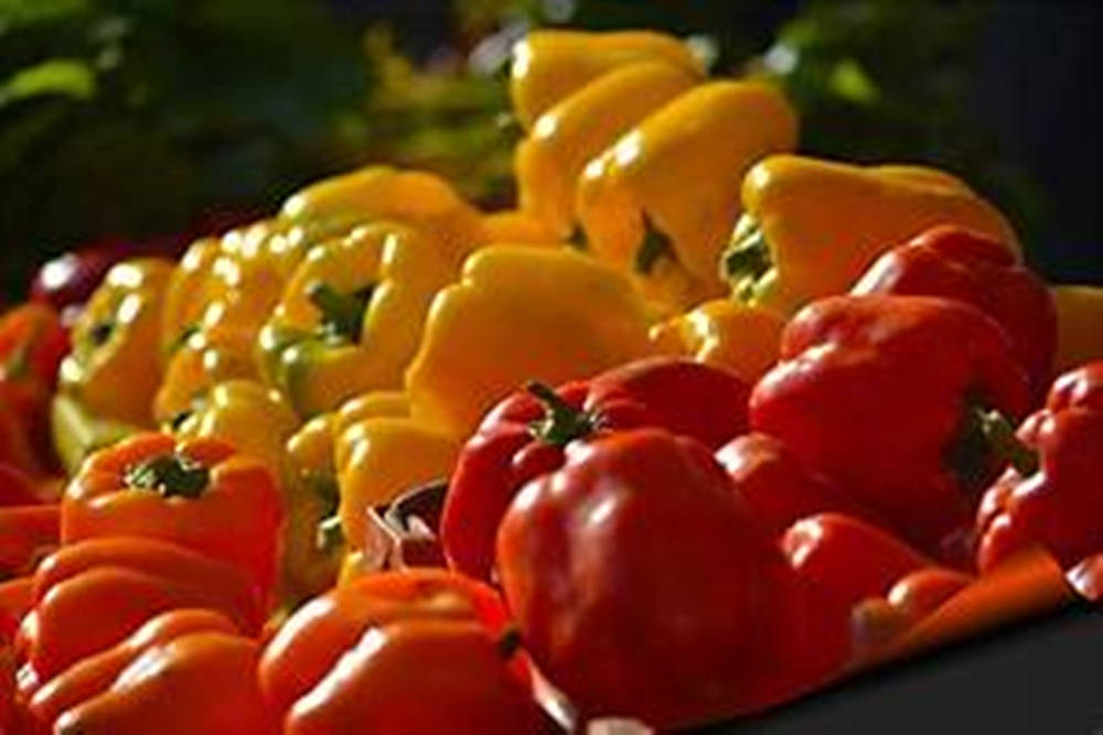 Bell Pepper, red, yellow, SD Desktop Wallpaper