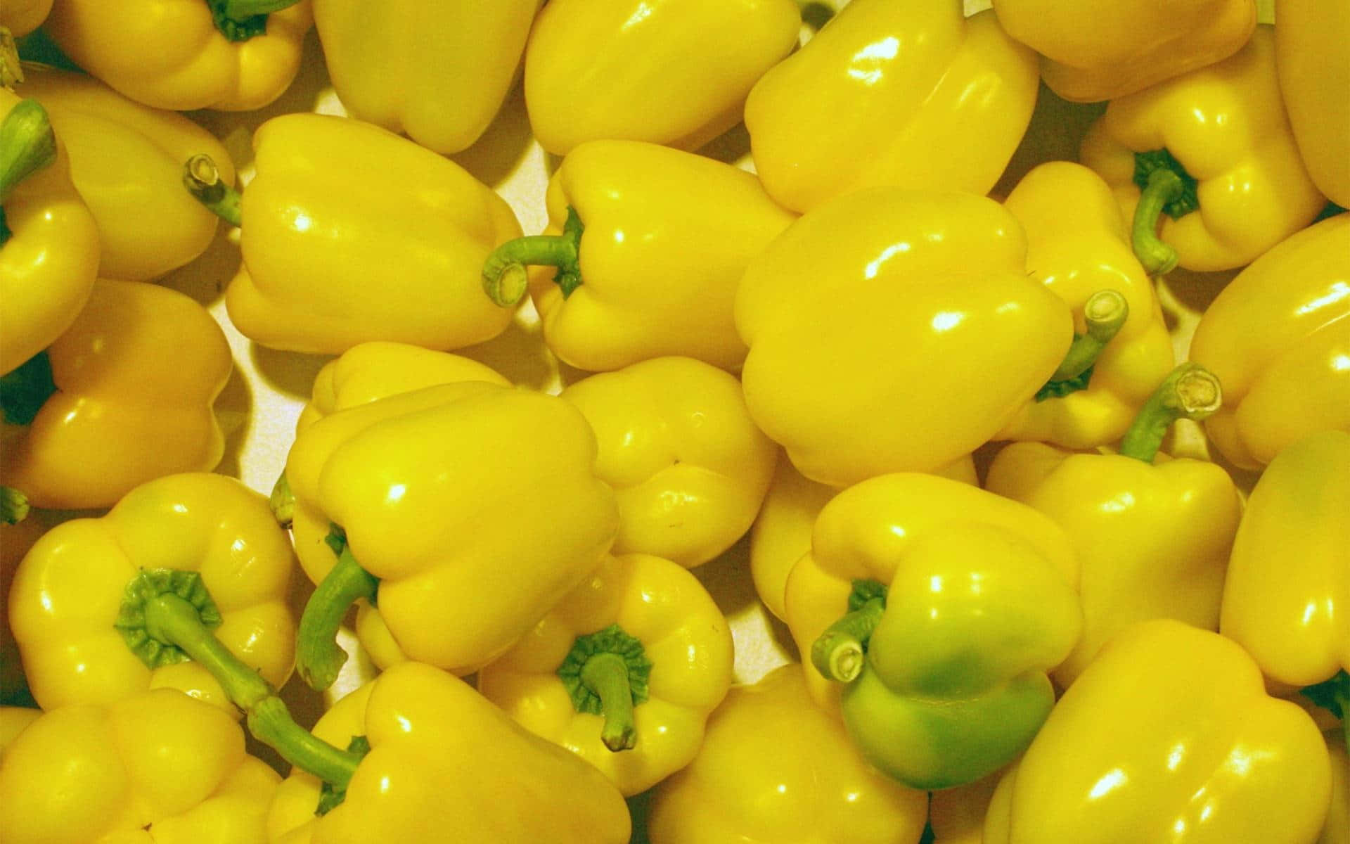 yellow bell pepper, glossy, green stems, Full HD Desktop Wallpaper