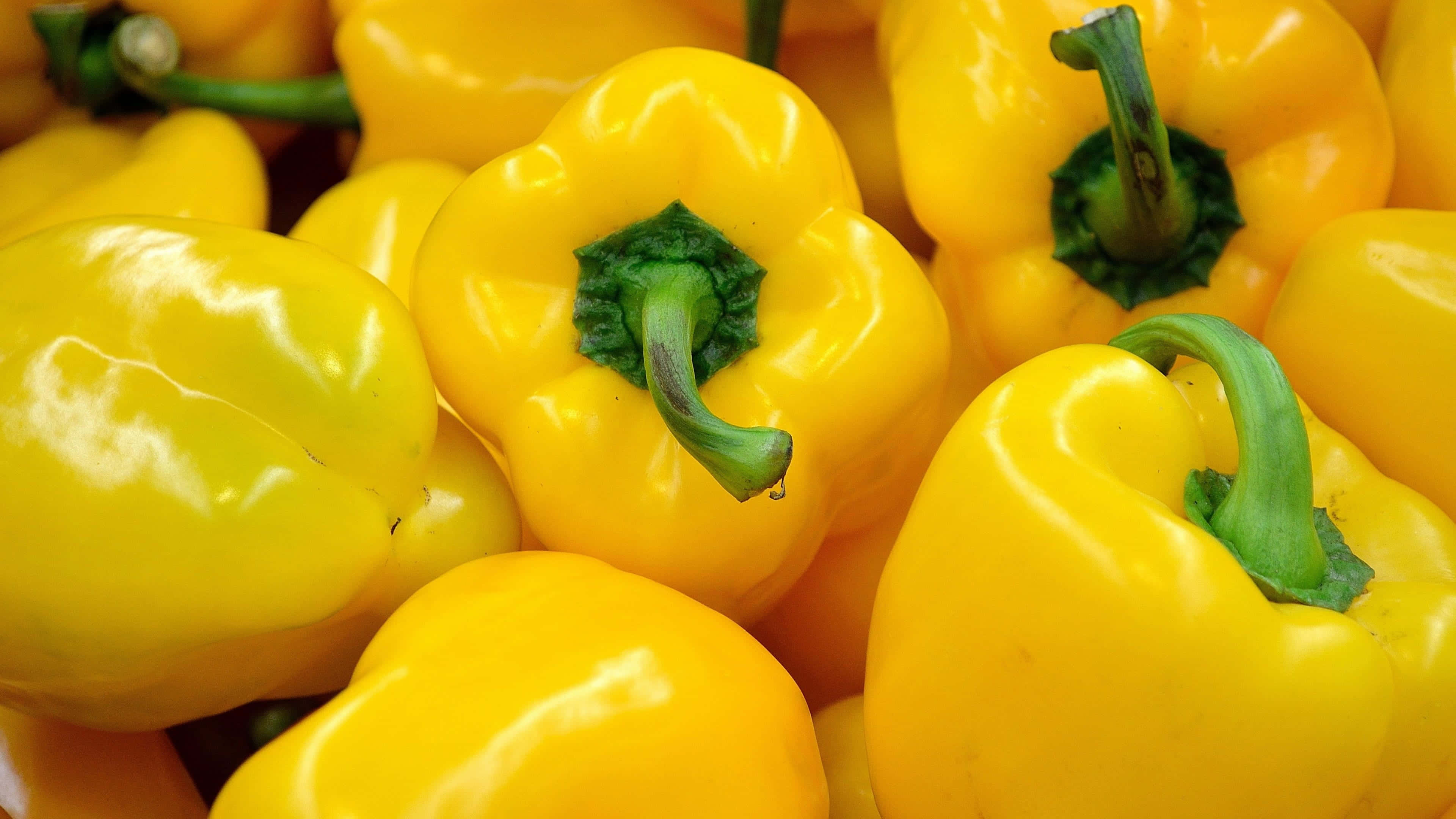 yellow bell pepper, glossy skin, green stems, 4K Desktop Wallpaper