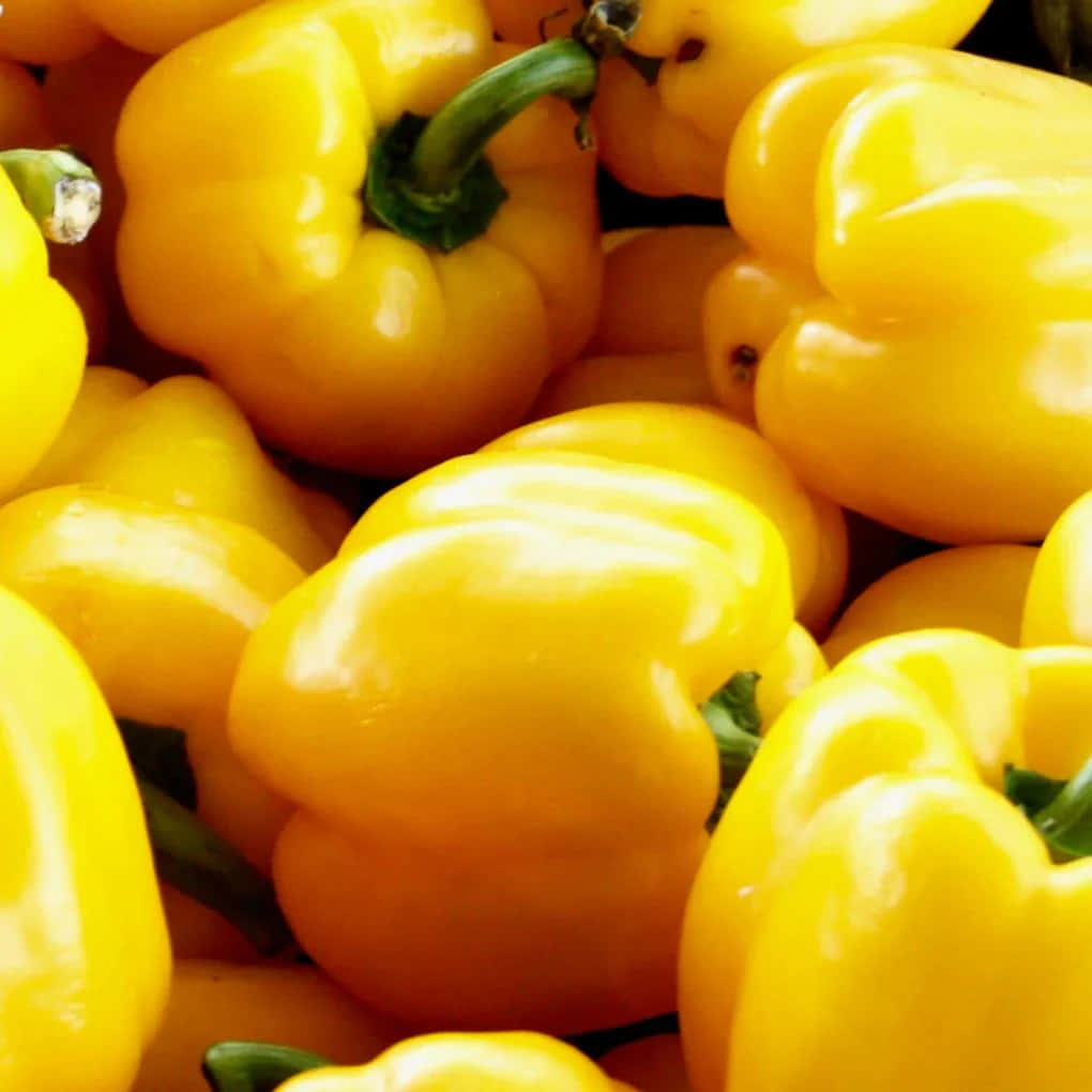 yellow bell pepper, glossy, green stems, SD Desktop Wallpaper