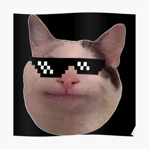 Beluga Cat, sticker shades, pixelated sunglasses, SD Desktop Wallpaper