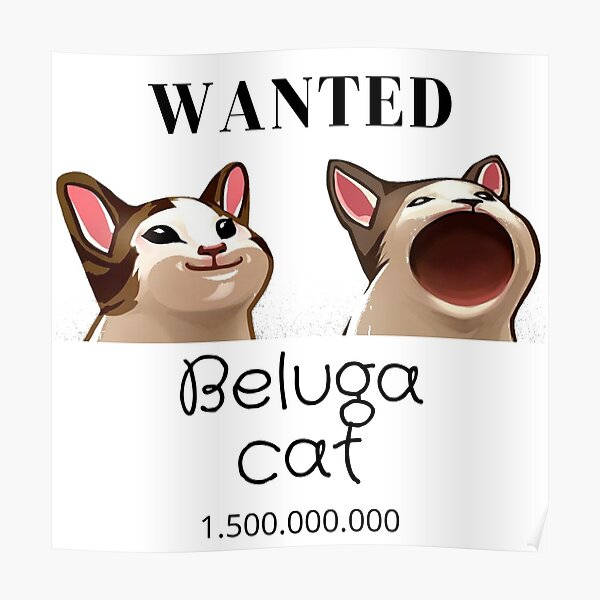 Beluga Cat, wanted poster, cartoon cats, SD Desktop Wallpaper