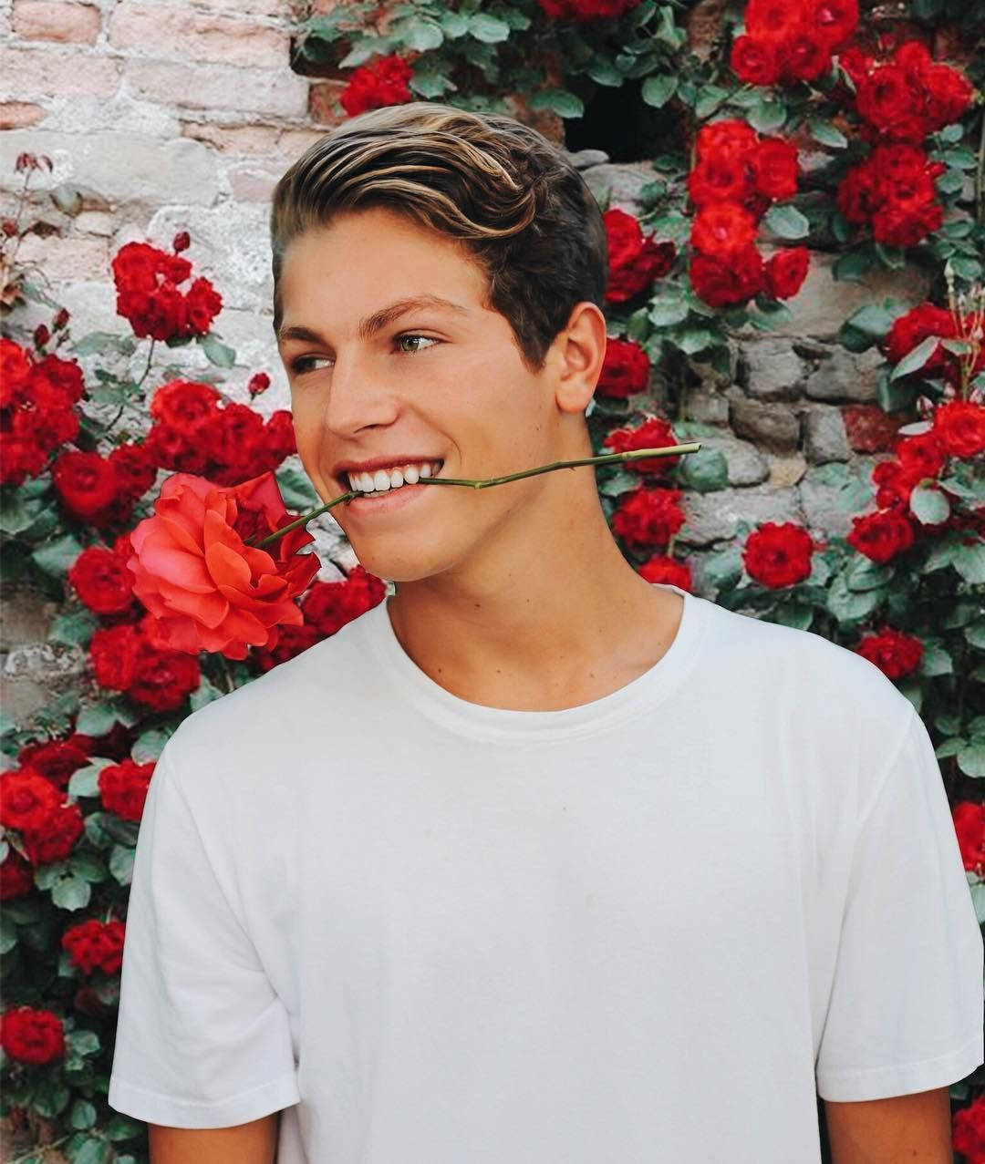 Ben Azelart, red rose, white tshirt, SD Phone Wallpaper