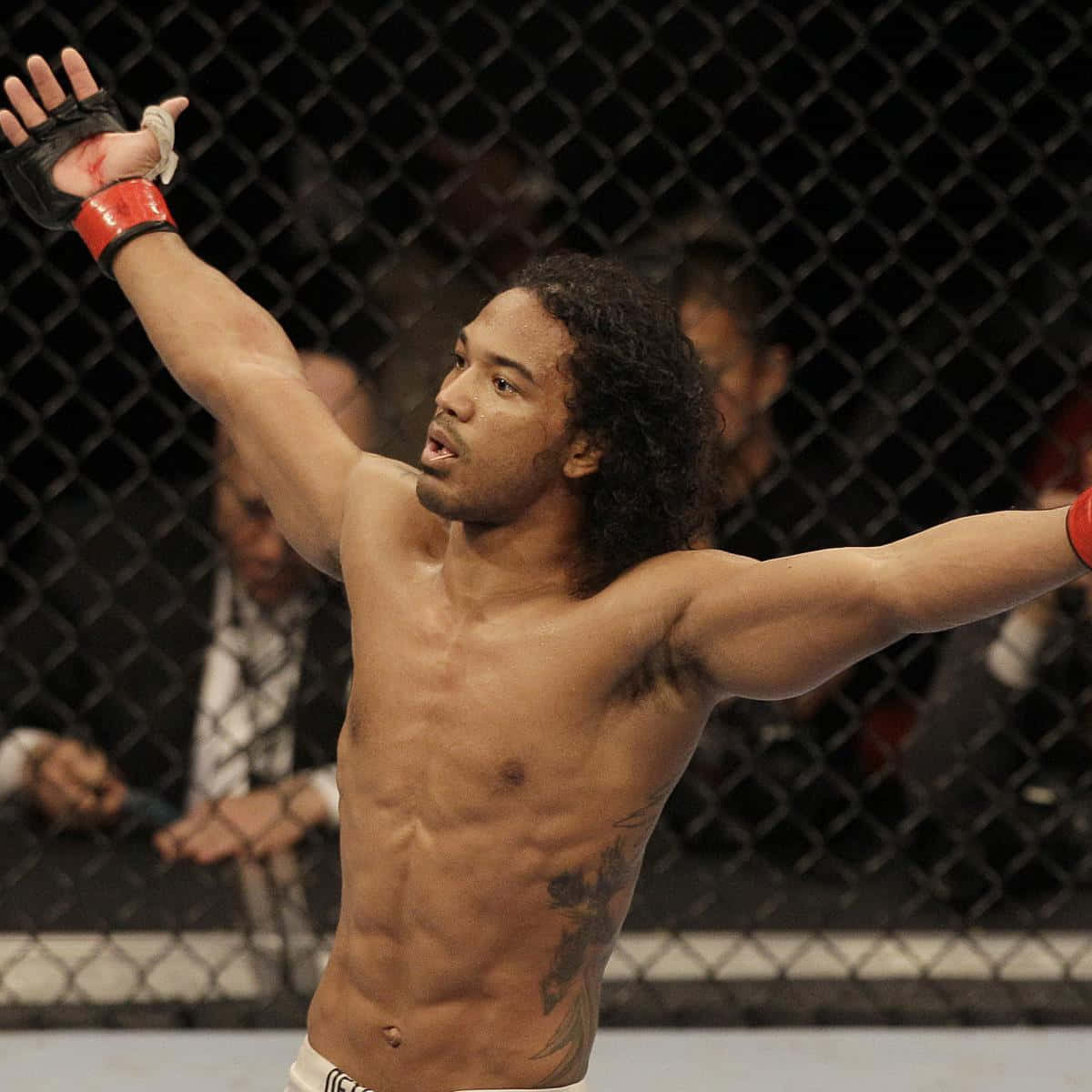 Ben Henderson, American MMA, cage, SD Desktop Wallpaper