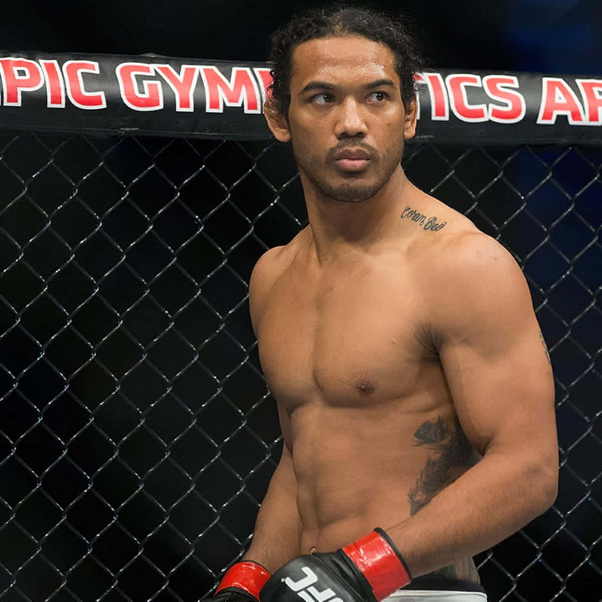 Ben Henderson, red and black gloves, caged octagon, SD Desktop Wallpaper