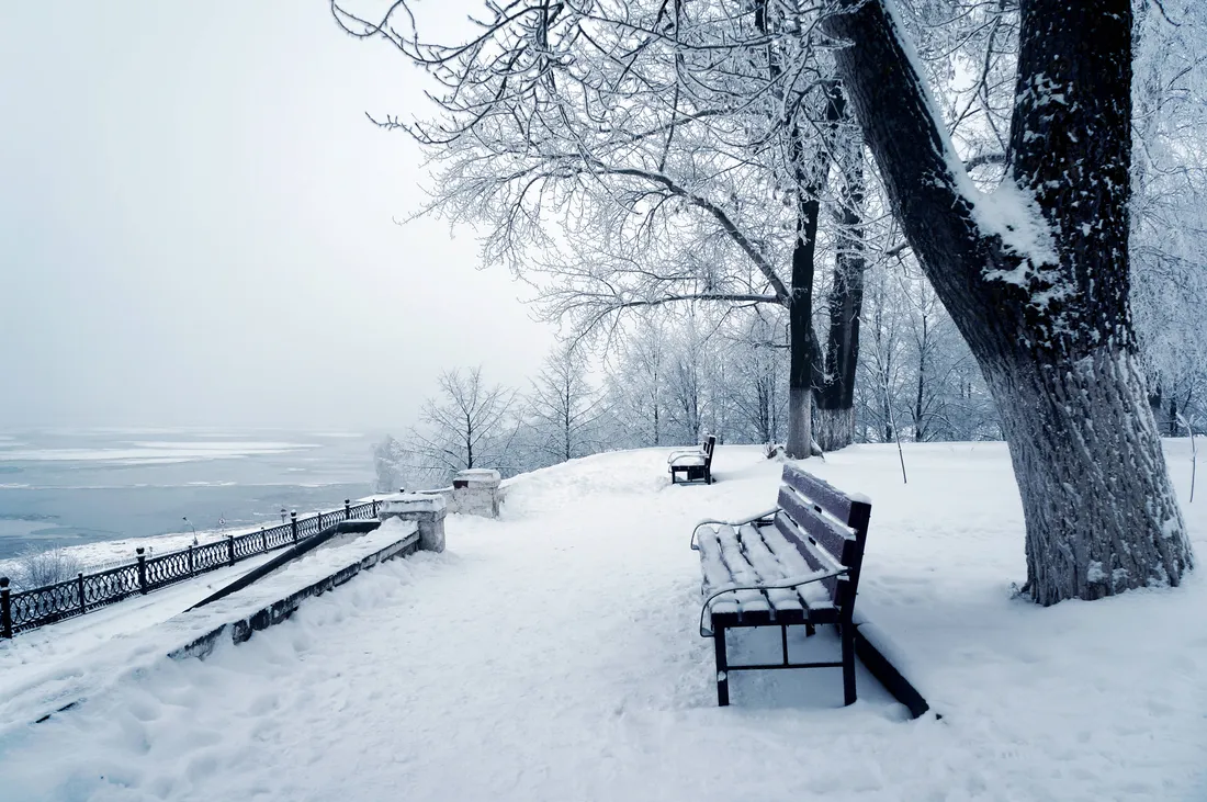 Bench