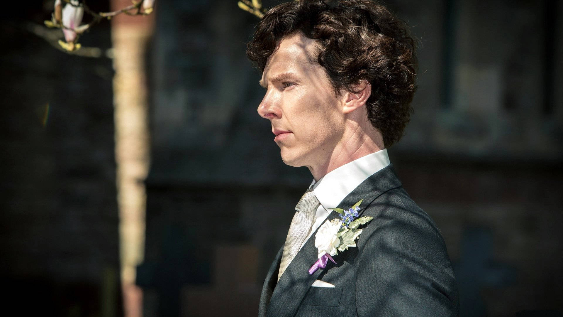 Benedict Cumberbatch, dark suit, floral boutonniere, Full HD Desktop Wallpaper