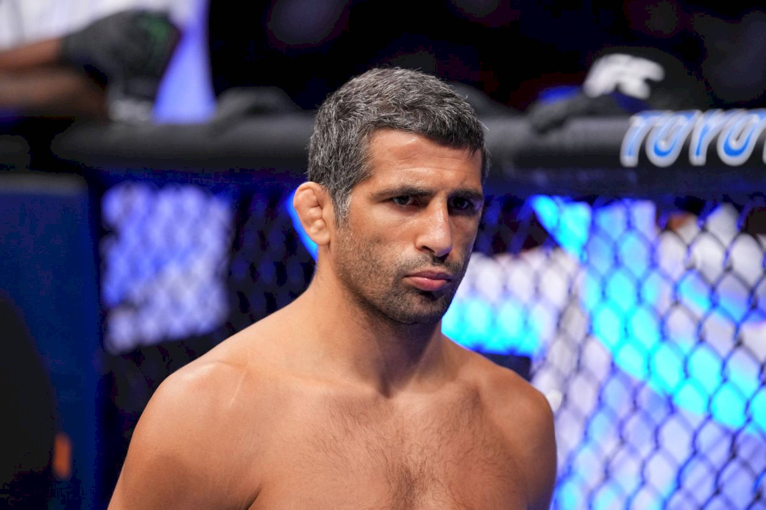 Beneil Dariush, octagon, blue chain-link fencing, Full HD Desktop Wallpaper