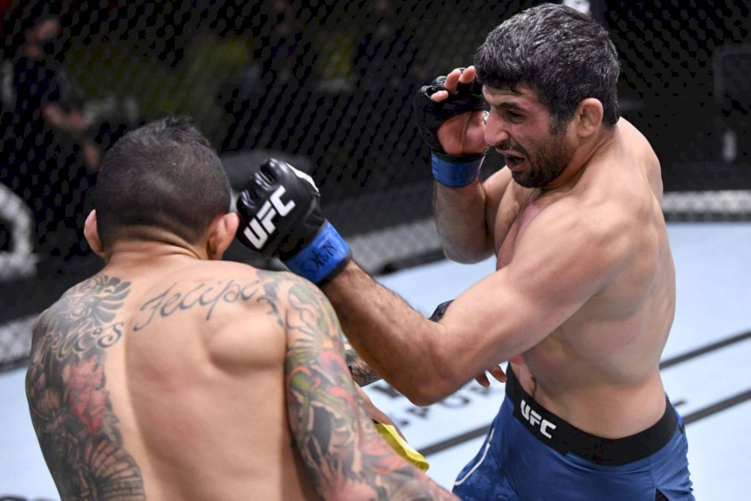 Beneil Dariush, MMA fighters, octagon, Full HD Desktop Wallpaper