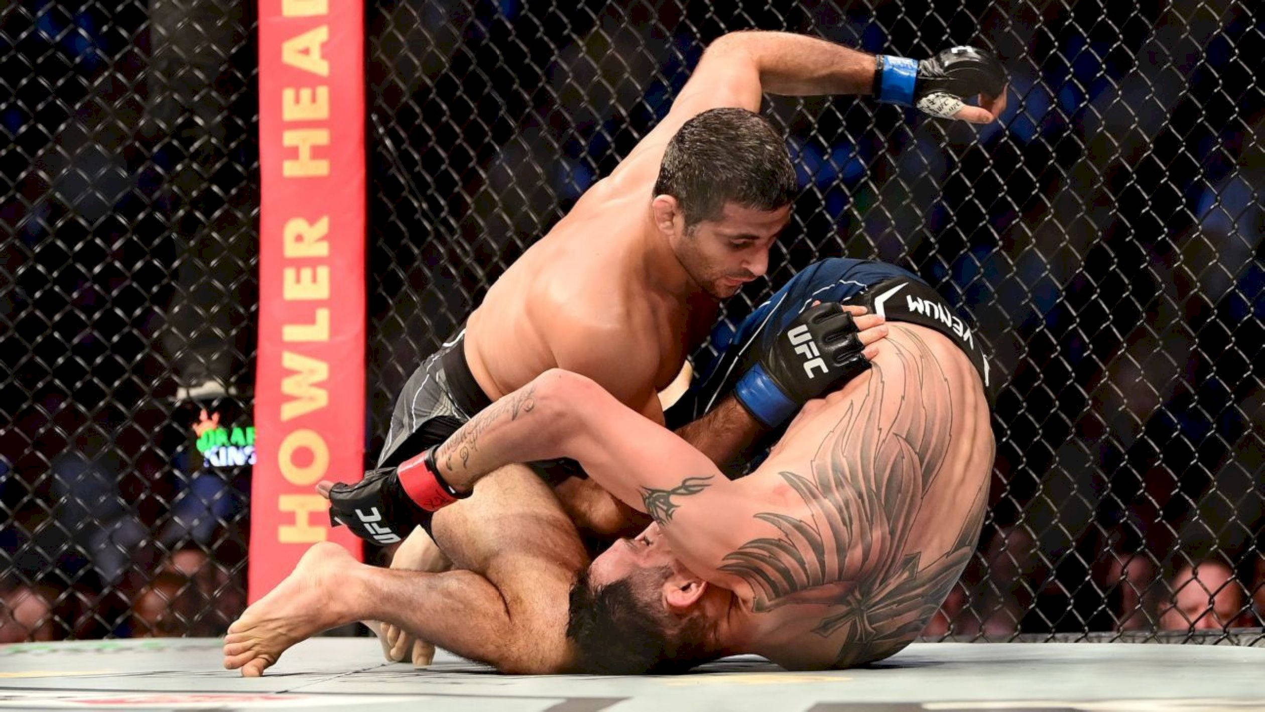 Beneil Dariush, mixed martial arts cage, chokehold, Full HD Desktop Wallpaper