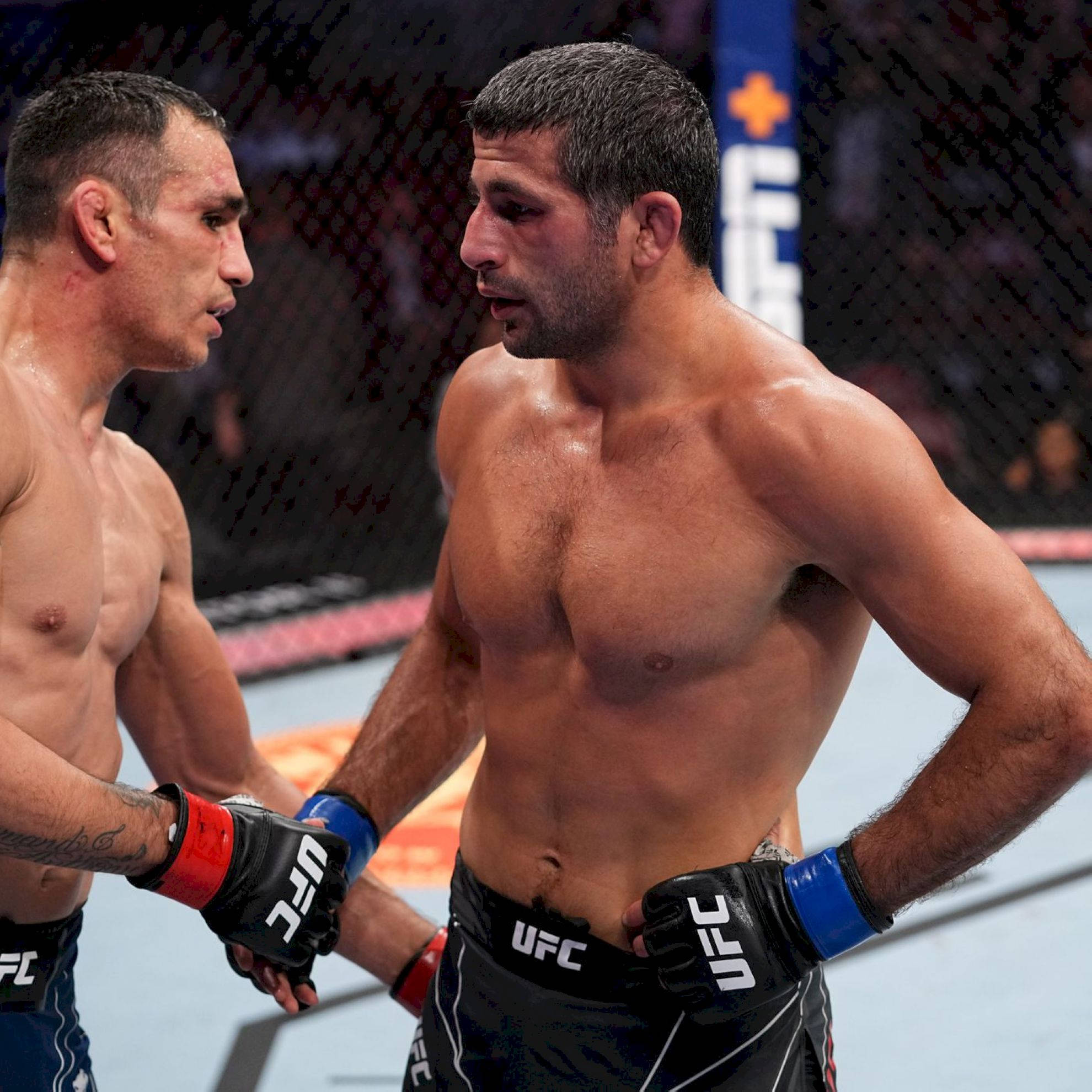 Beneil Dariush, UFC fighters, octagon, Full HD Desktop Wallpaper