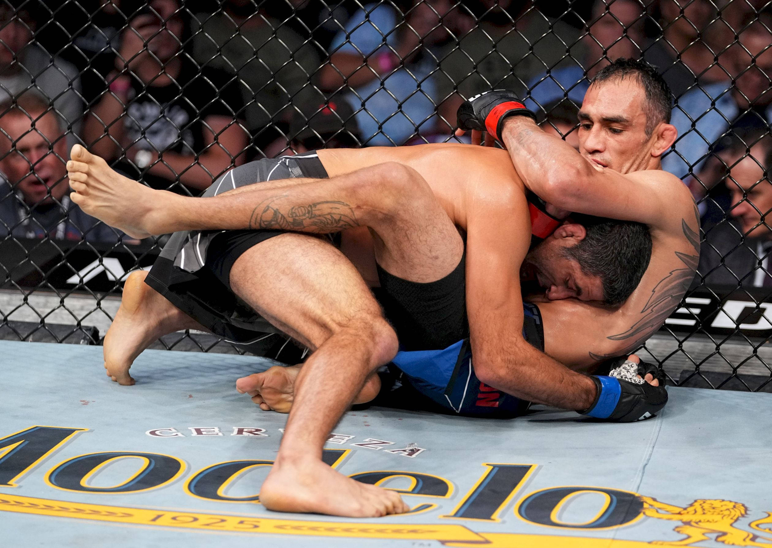 Beneil Dariush, mixed martial arts cage, crowd, Full HD Desktop Wallpaper