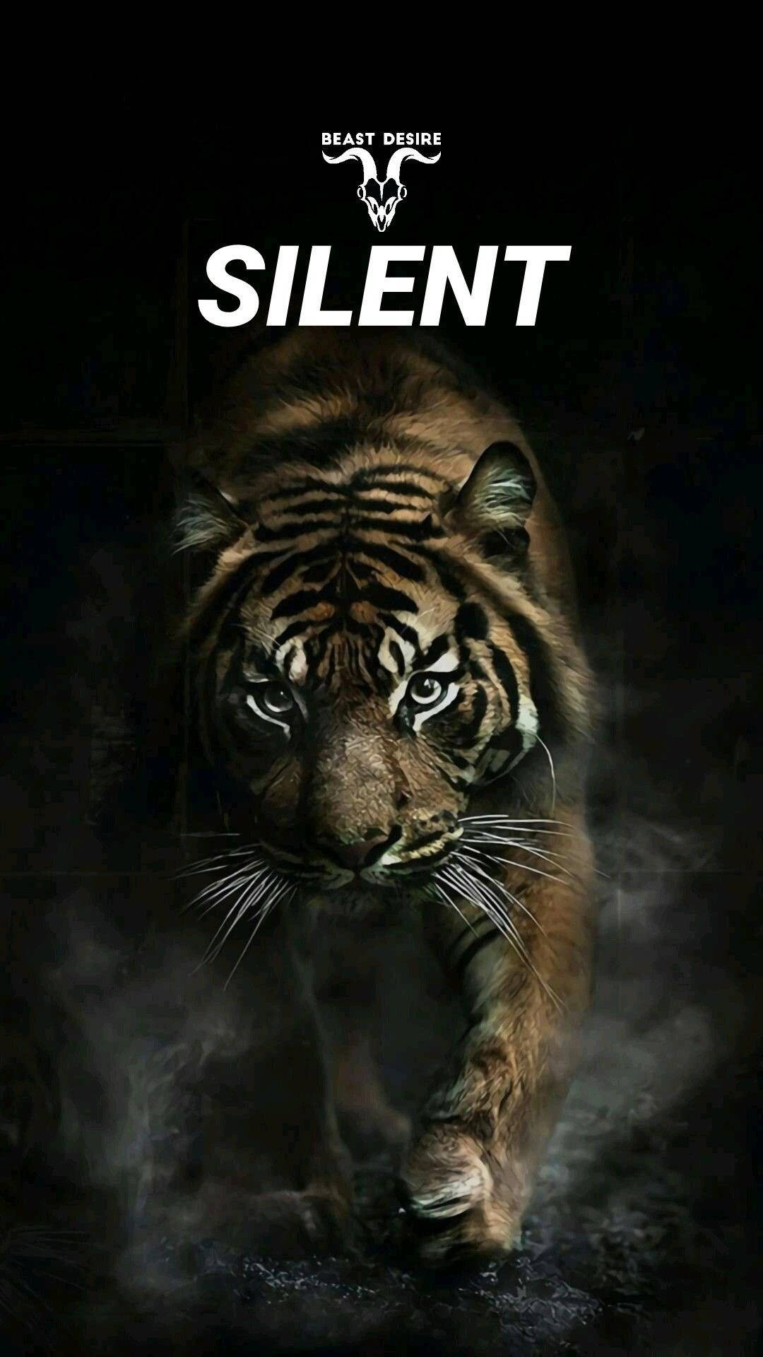 Humble And Silent Tiger, glowing eyes, dark mist, Full HD Phone Wallpaper
