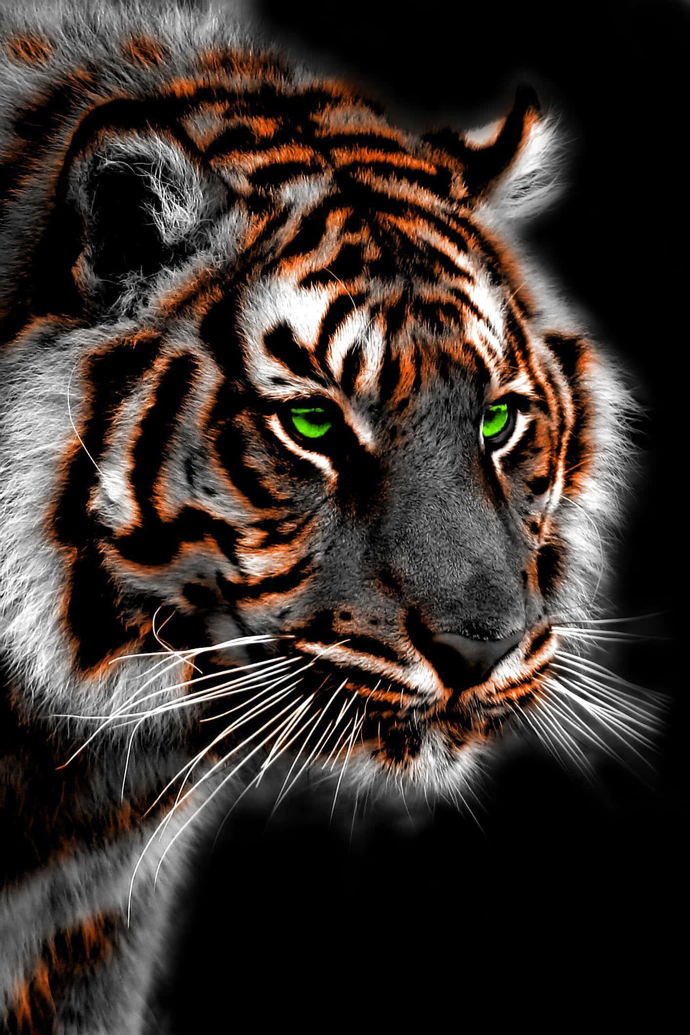 Bengal Tiger, glowing green eyes, orange stripes, Full HD Phone Wallpaper