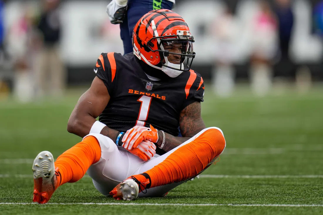 Bengals Wallpapers