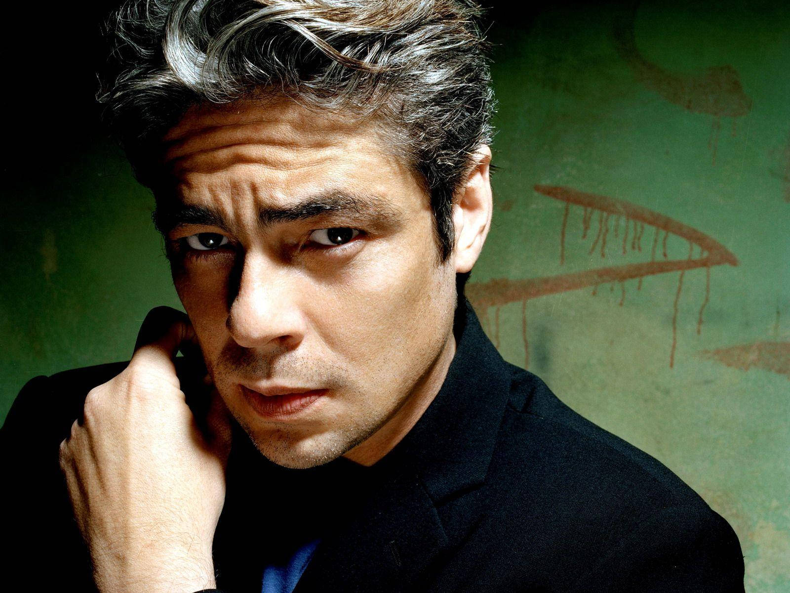 Benicio Del Toro, graying hair, intense gaze, HD Desktop Wallpaper