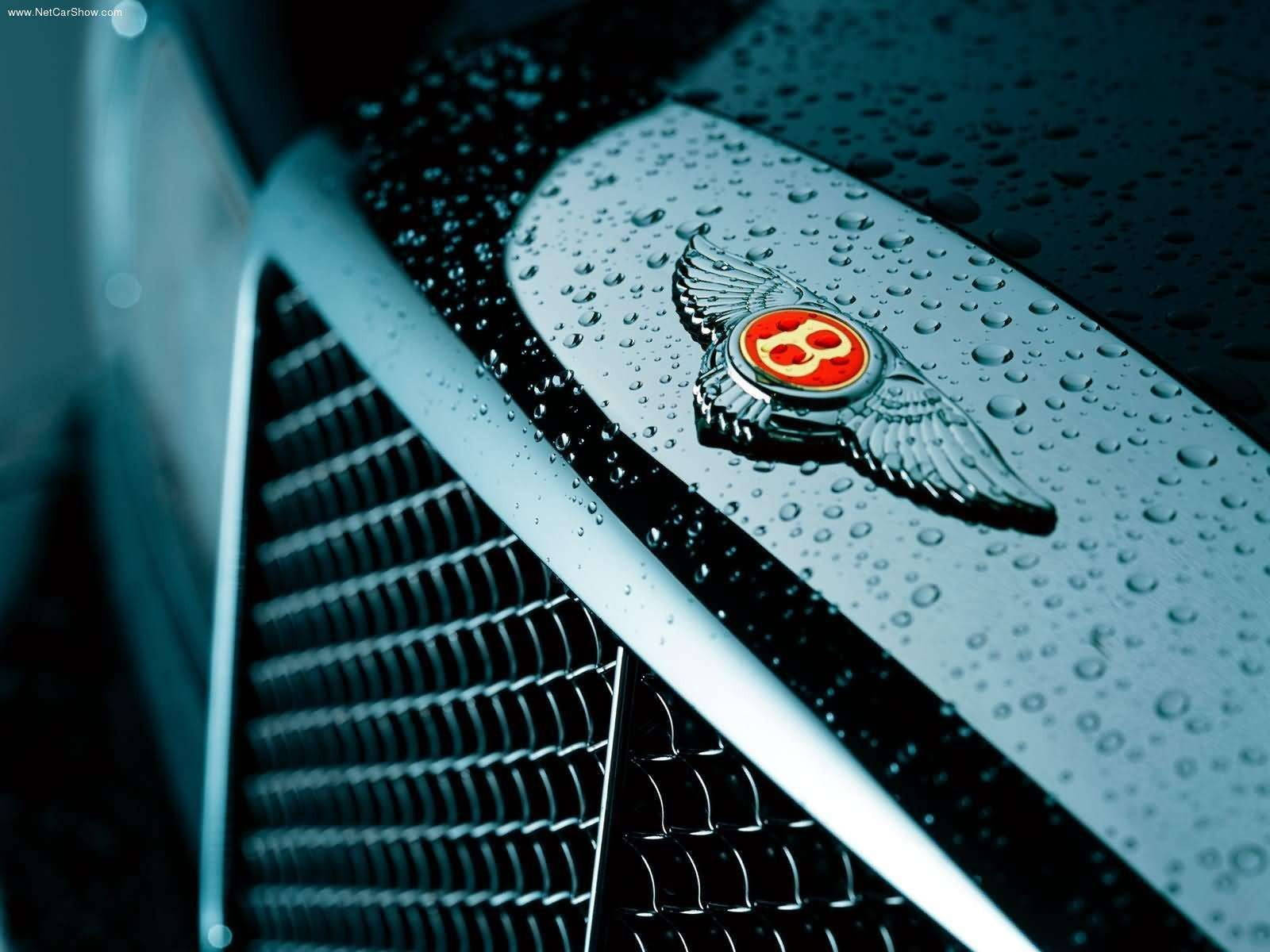 Bentley, hood ornament, chrome grille, HD Desktop Wallpaper