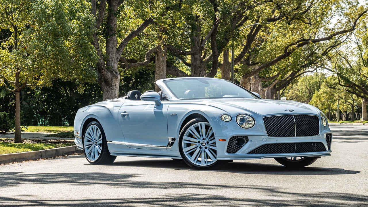Bentley Continental GT Convertible, light blue, tree-lined street, HD Desktop Wallpaper