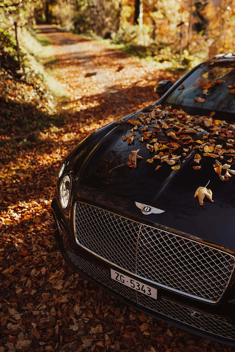 Bentley Continental GT, black, forest path, SD Phone Wallpaper