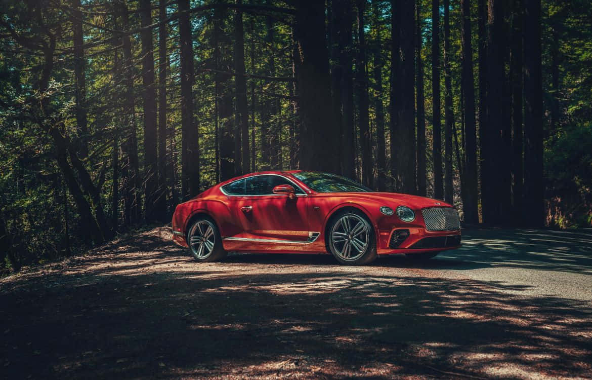 Bentley Continental GT, vibrant red, dappled sunlight, SD Desktop Wallpaper