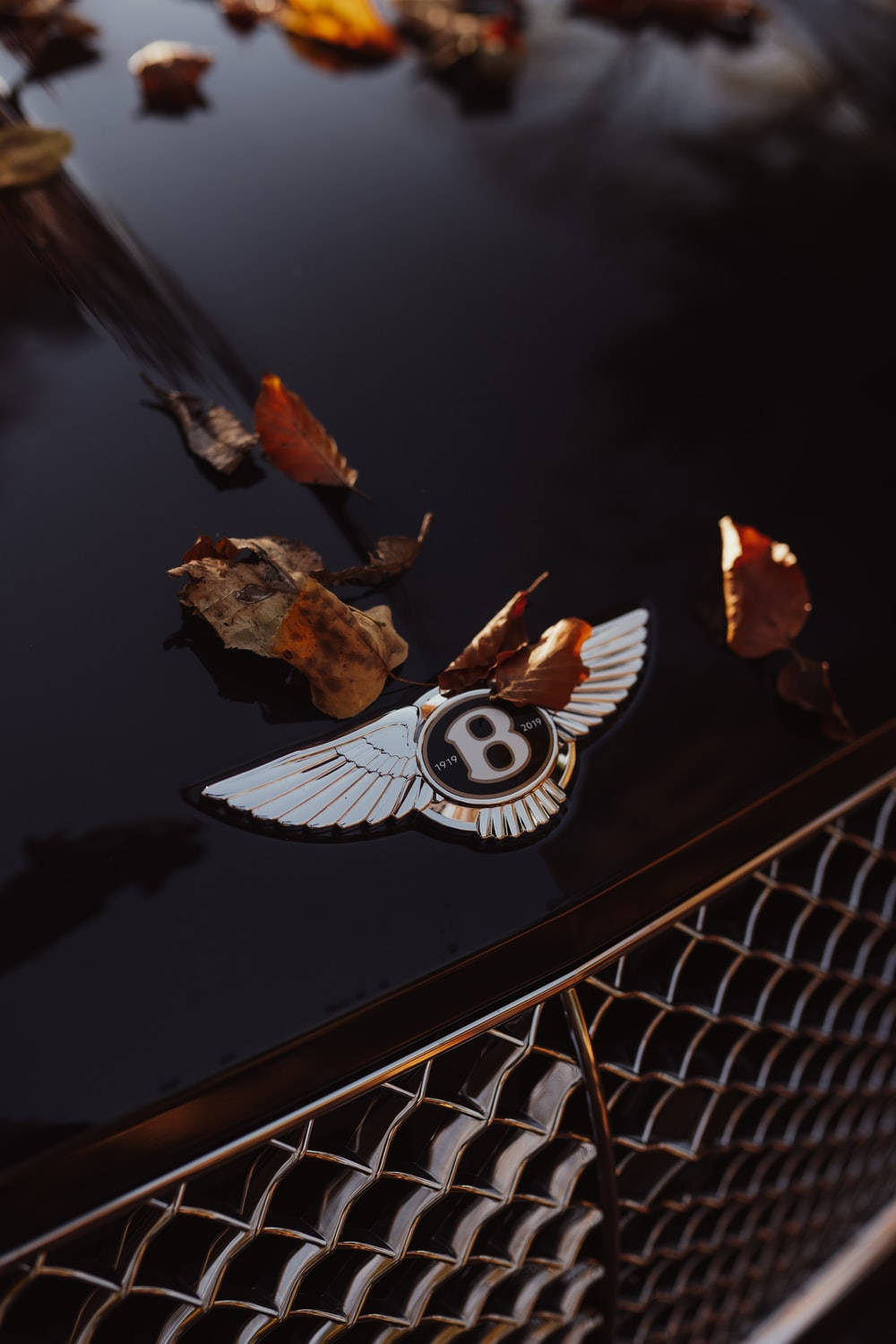 Bentley, winged emblem, chrome grille, HD Phone Wallpaper