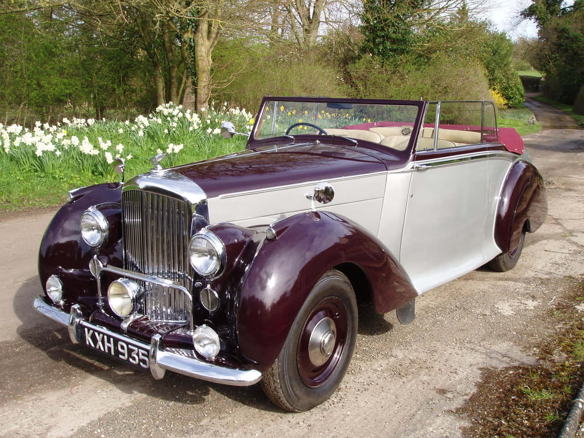 Bentley Mark VI, maroon and silver, convertible, SD Desktop Wallpaper