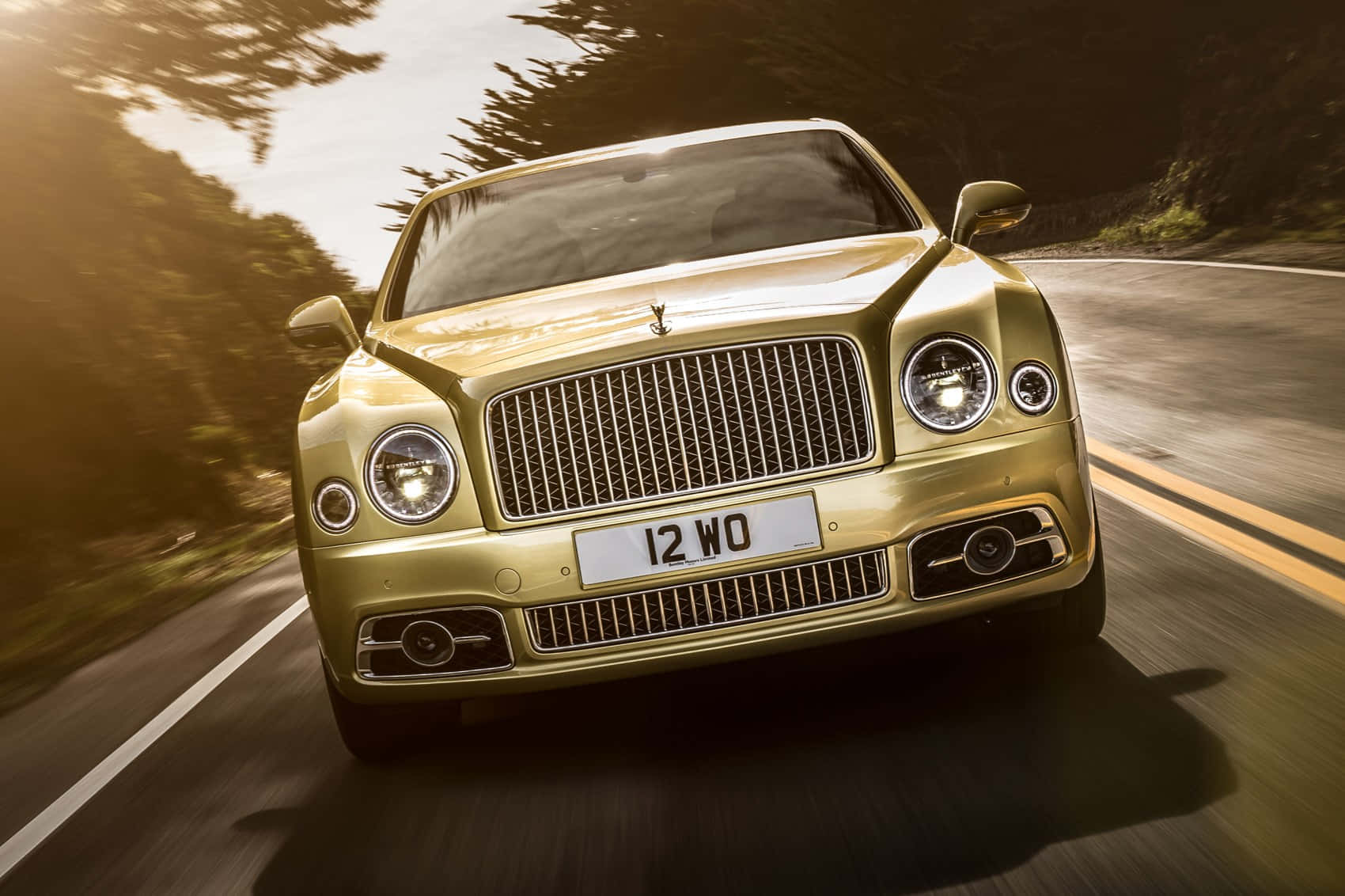 Bentley Mulsanne, gold, winding forest road, HD Desktop Wallpaper