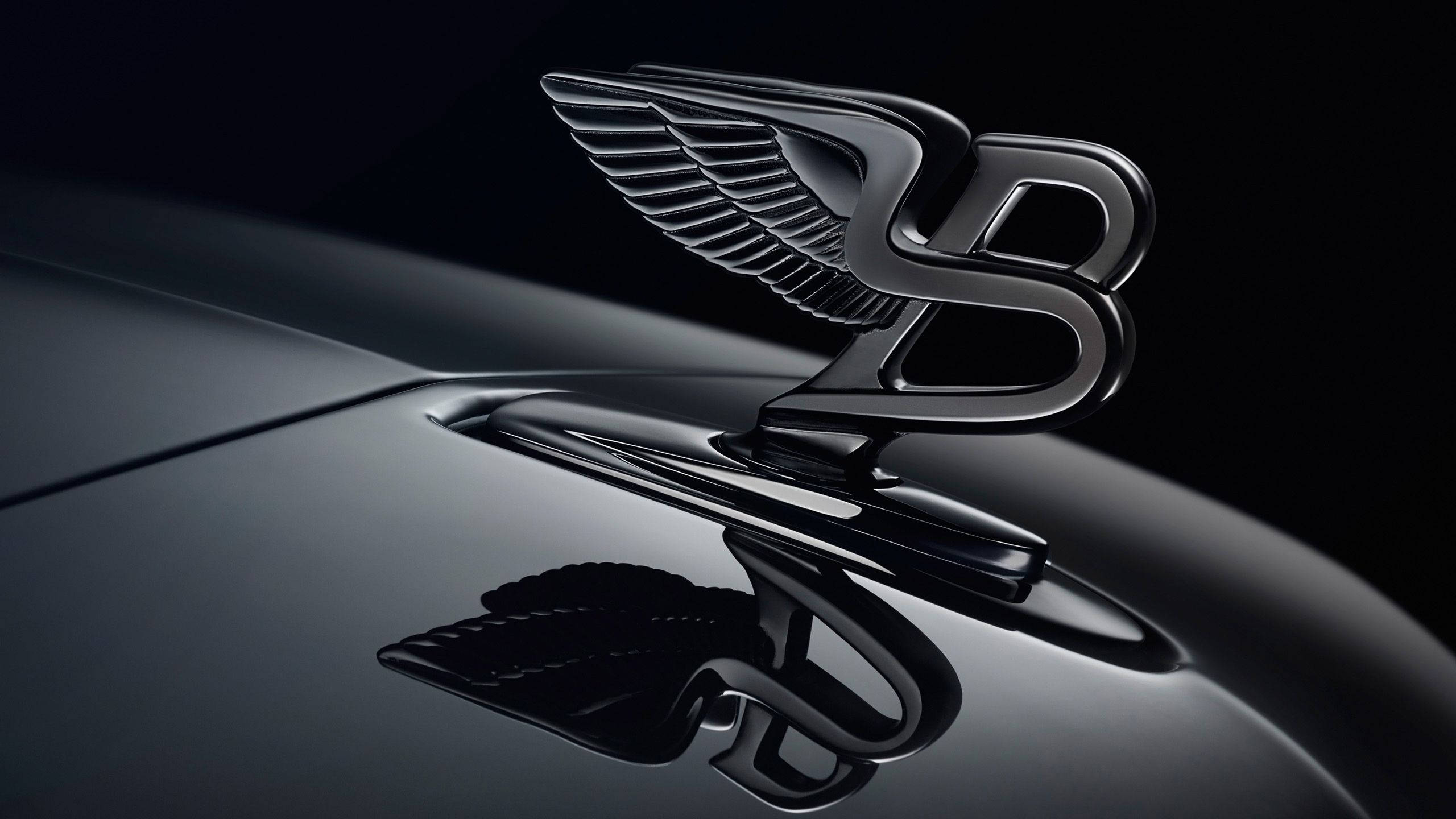 Bentley, Flying B Logo, black, 2K Desktop Wallpaper
