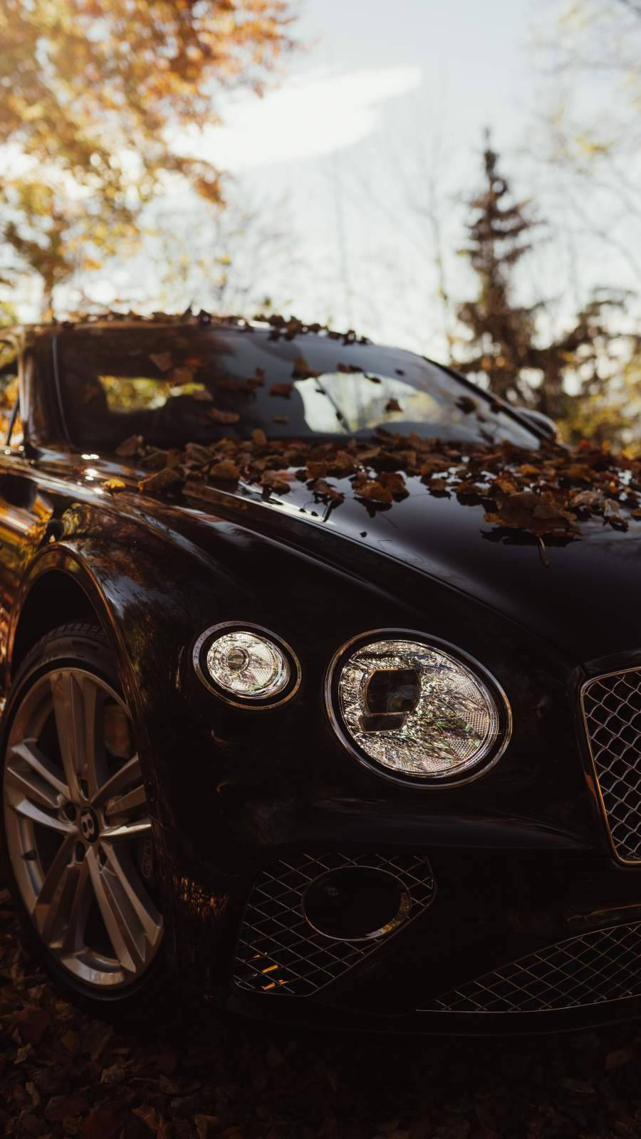 Bentley, black luxury car, golden autumn leaves, HD Phone Wallpaper