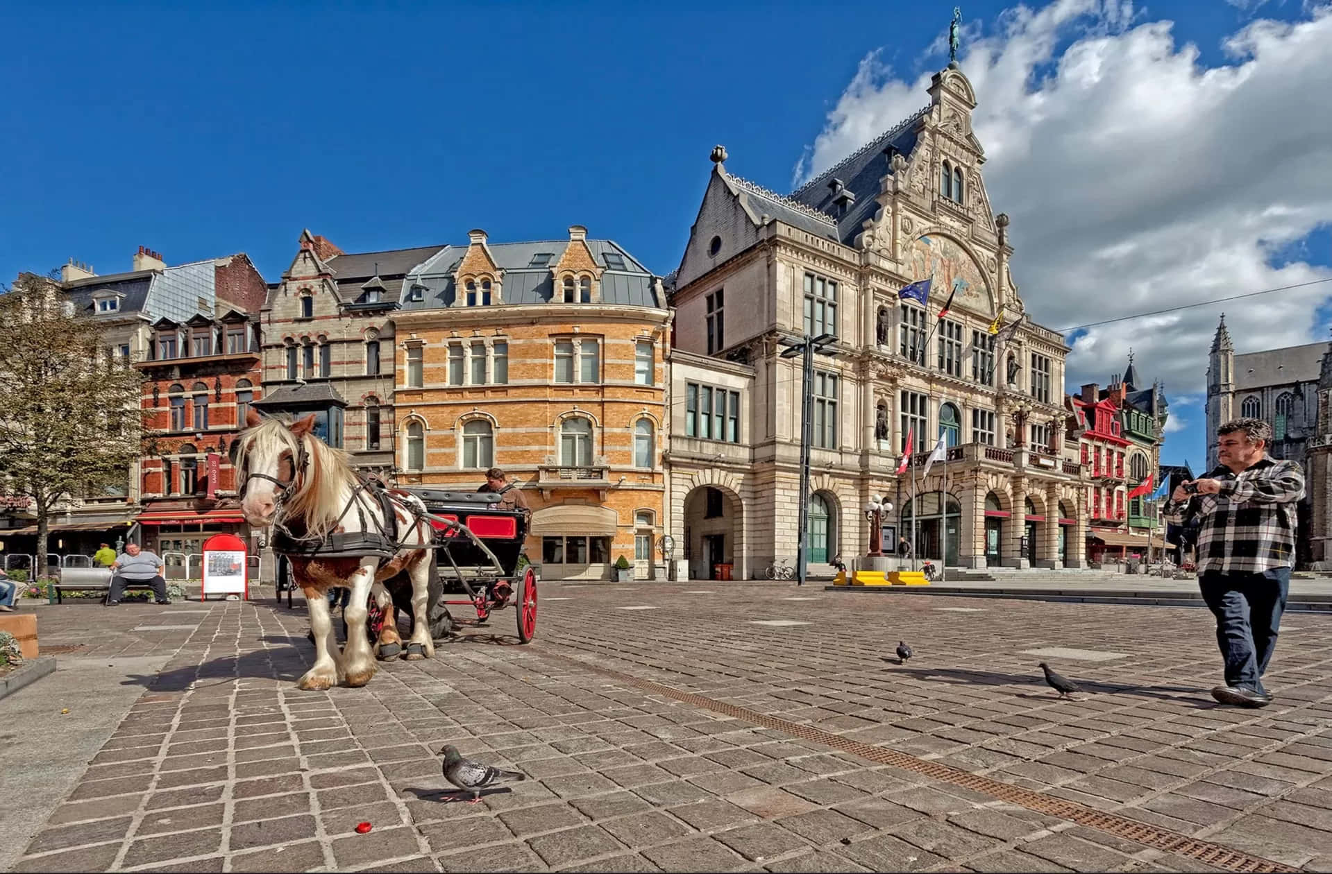 Bergen Op Zoom, town square, horse carriage, HD Desktop Wallpaper