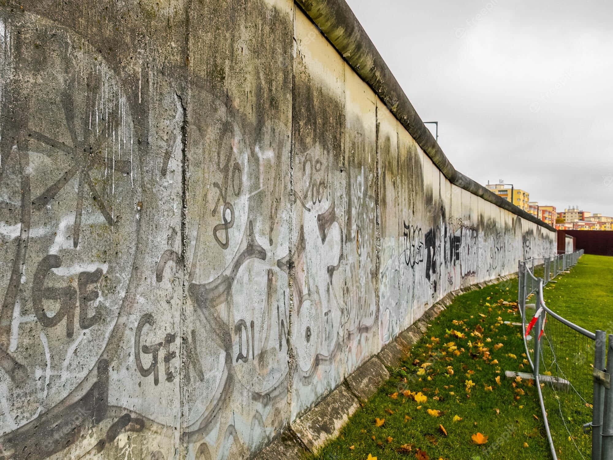 Berlin Wall, green grassland, graffiti, Full HD Desktop Wallpaper