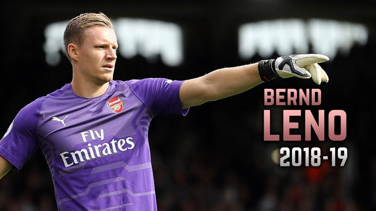 Bernd Leno, purple Arsenal kit, 2018-19 match, HD Desktop Wallpaper