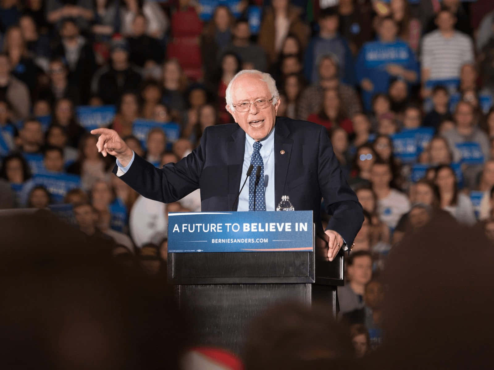 Bernie Sanders, campaign rally, blue signs, HD Desktop Wallpaper