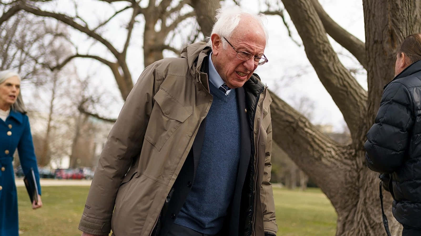 Bernie Sanders, tan coat, glasses, HD Desktop Wallpaper