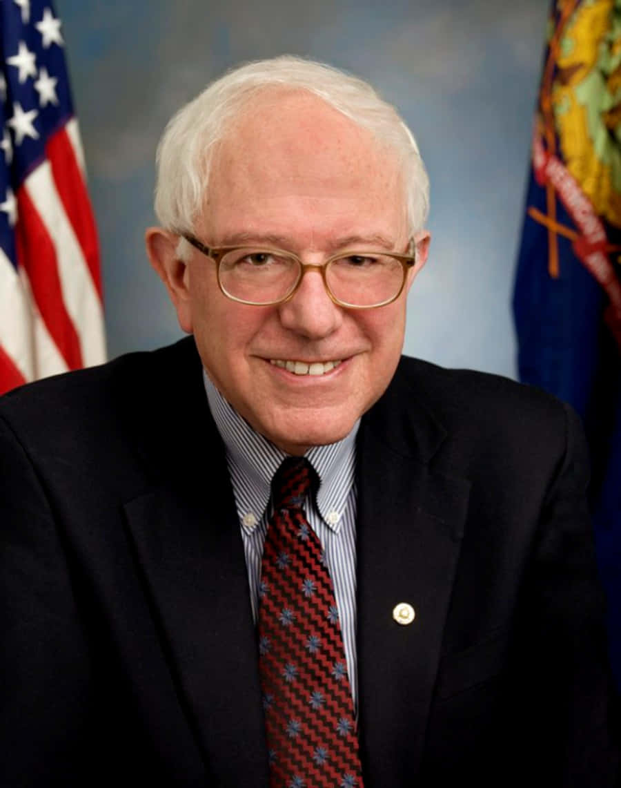 Bernie Sanders, official portrait, dark suit, SD Phone Wallpaper