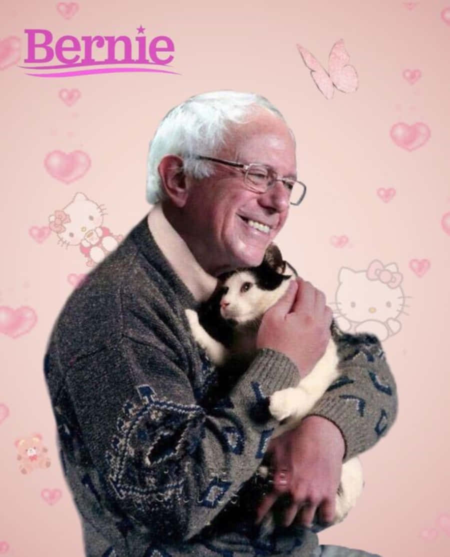 Bernie Sanders, black and white cat, pink background, SD Phone Wallpaper