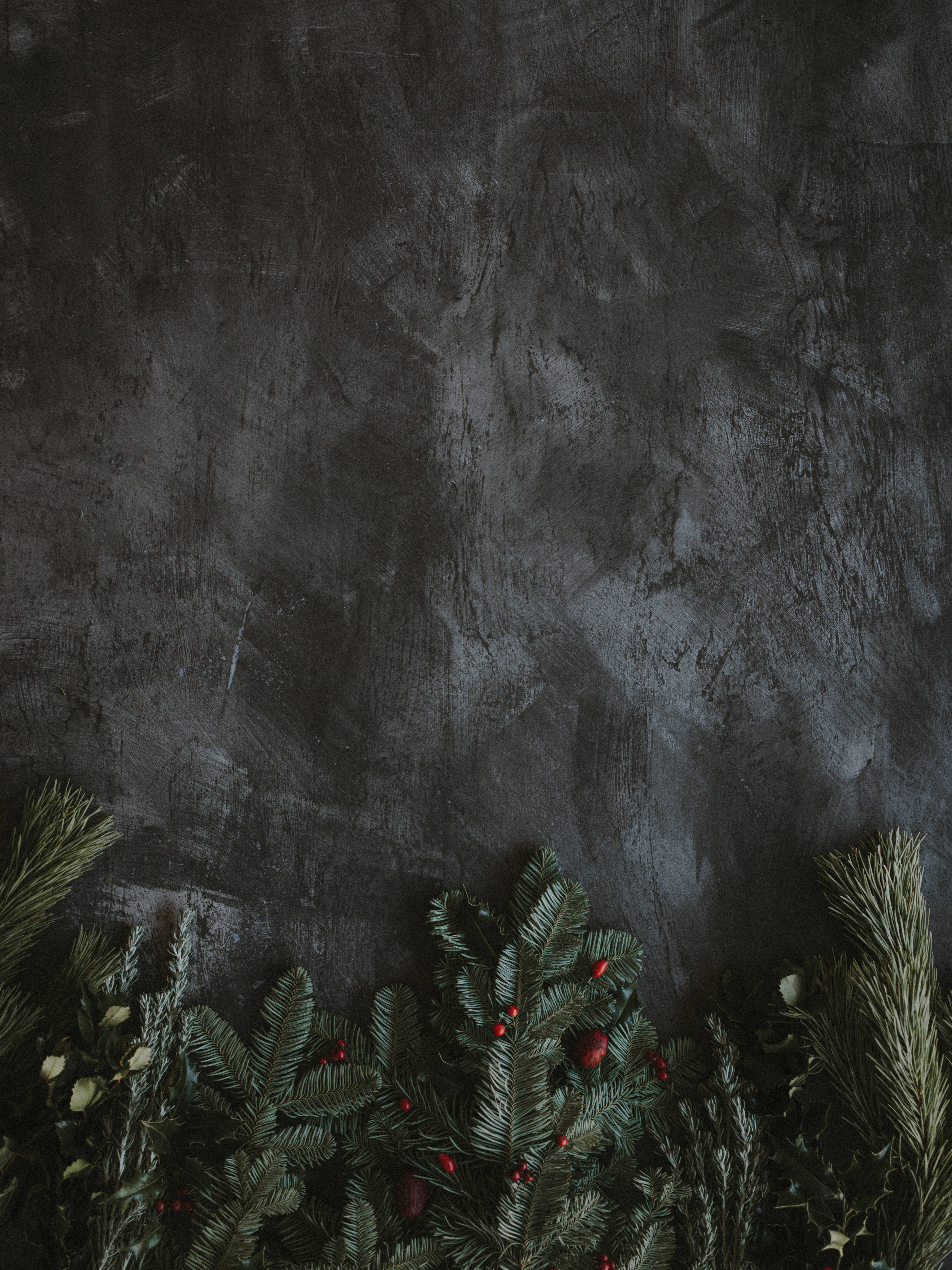 evergreen branches, red berries, dark textured wall, 8K Phone Wallpaper