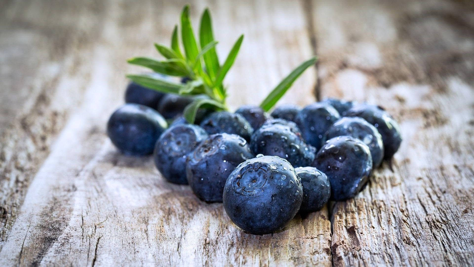 blueberries, triangular arrangement, dew, Full HD Desktop Wallpaper