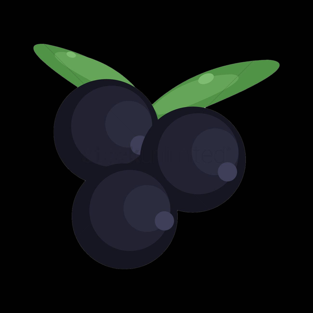 blackcurrant, glossy black berries, green leaves, HD Desktop Wallpaper