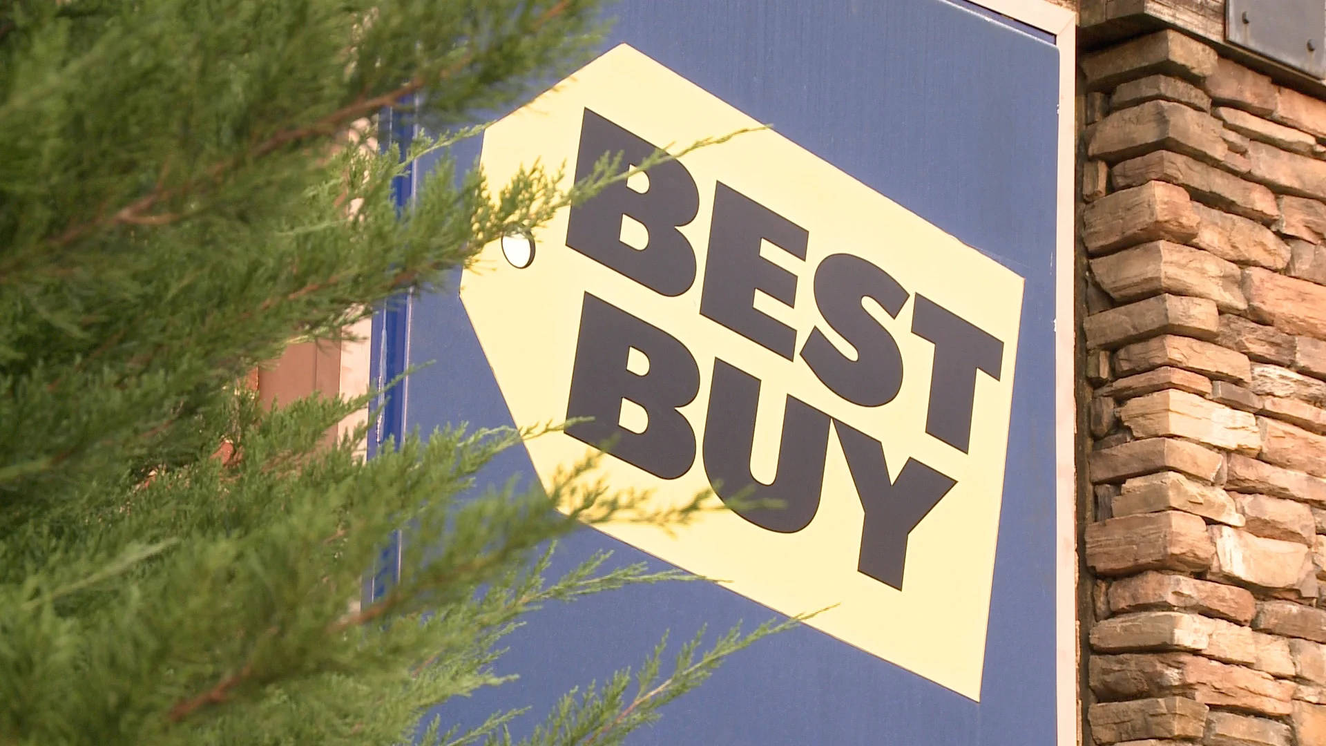 Best Buy, tarpaulin signage, green pine branches, Full HD Desktop Wallpaper