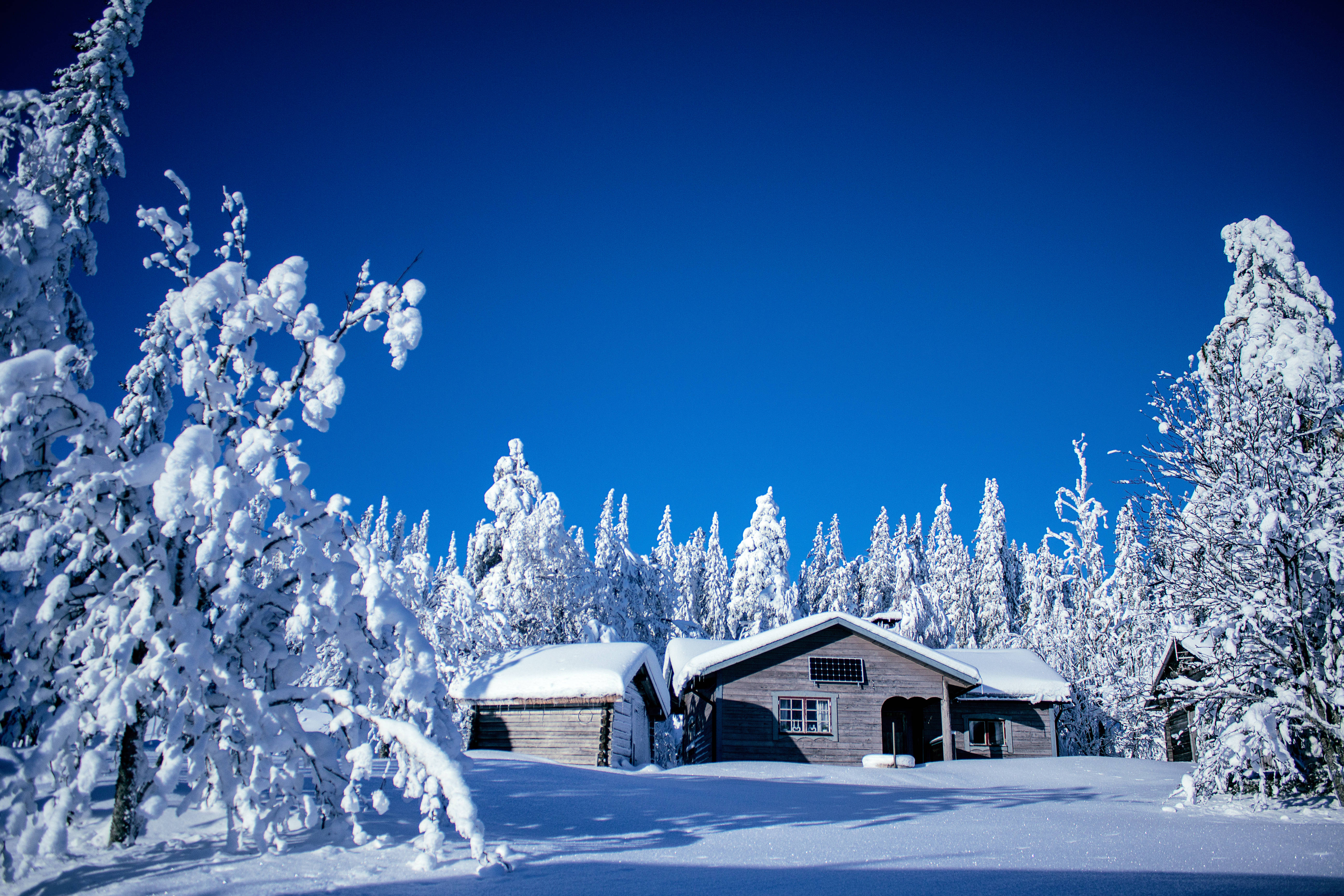 rustic wooden cabin, snowy forest, clear blue winter sky, 5K Desktop Wallpaper