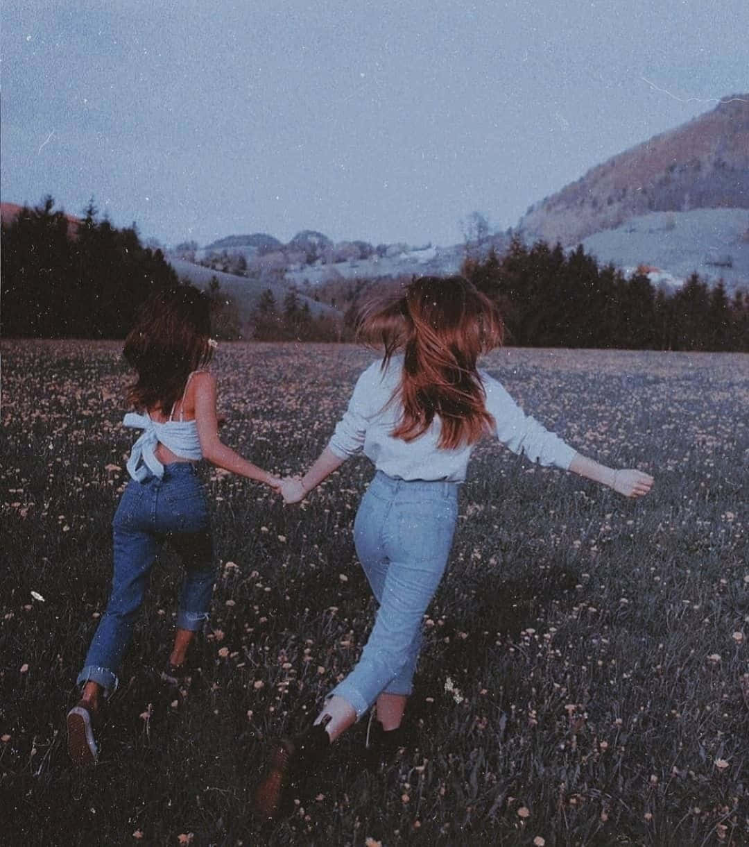 Best Friend Aesthetic, twilight sky, field of wildflowers, SD Phone Wallpaper