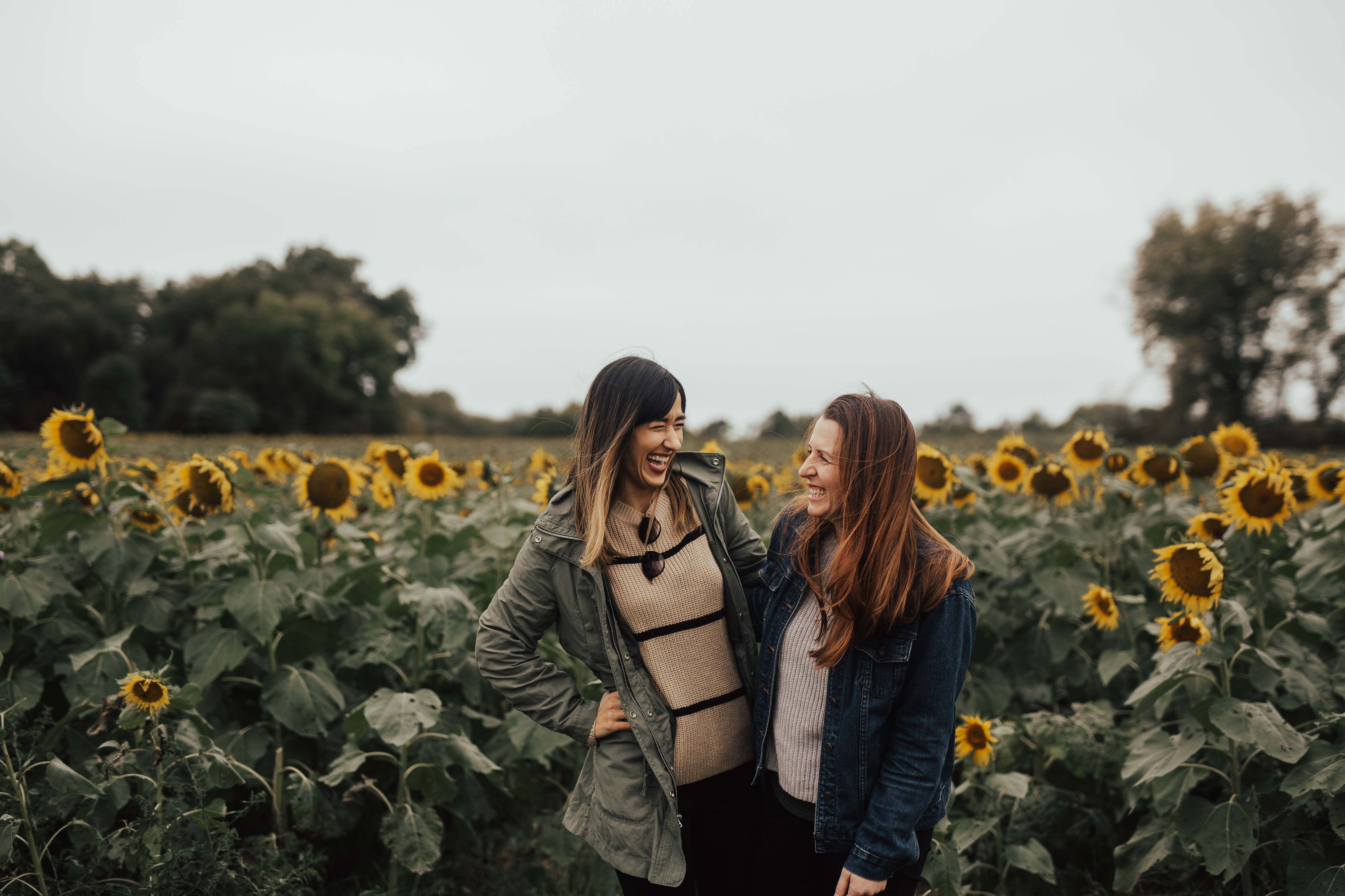 sunflower field, overcast sky, two women, 5K Desktop Wallpaper
