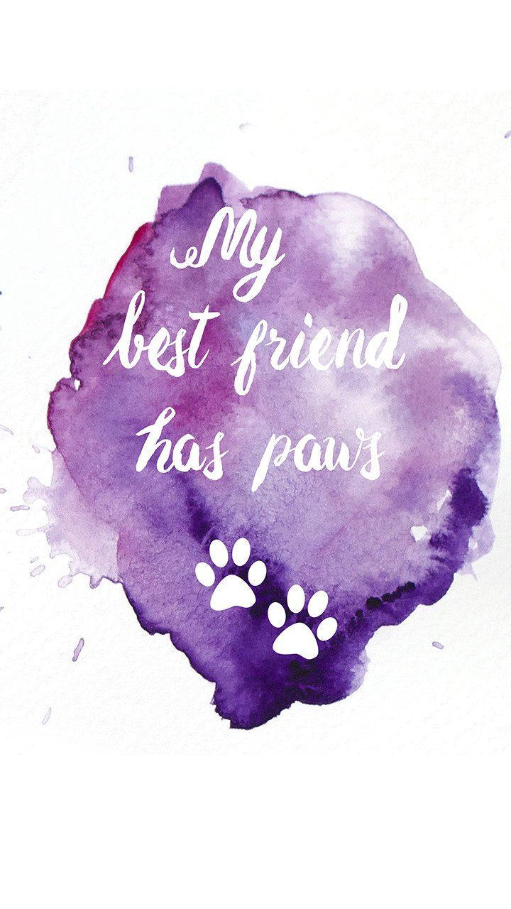 purple watercolor splash, white cursive text, My best friend has paws, HD Phone Wallpaper