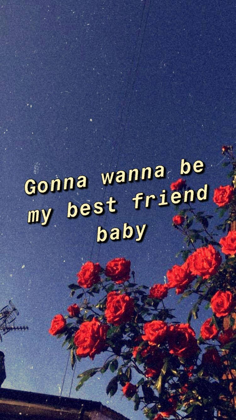 romantic best friends, roses, starry night sky, HD Phone Wallpaper
