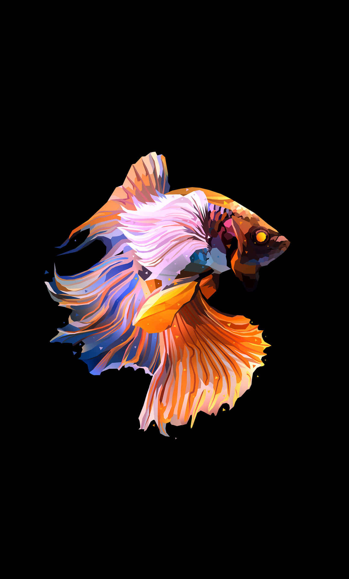 vibrant betta fish, orange blue and white fins, stark black background, Full HD Phone Wallpaper