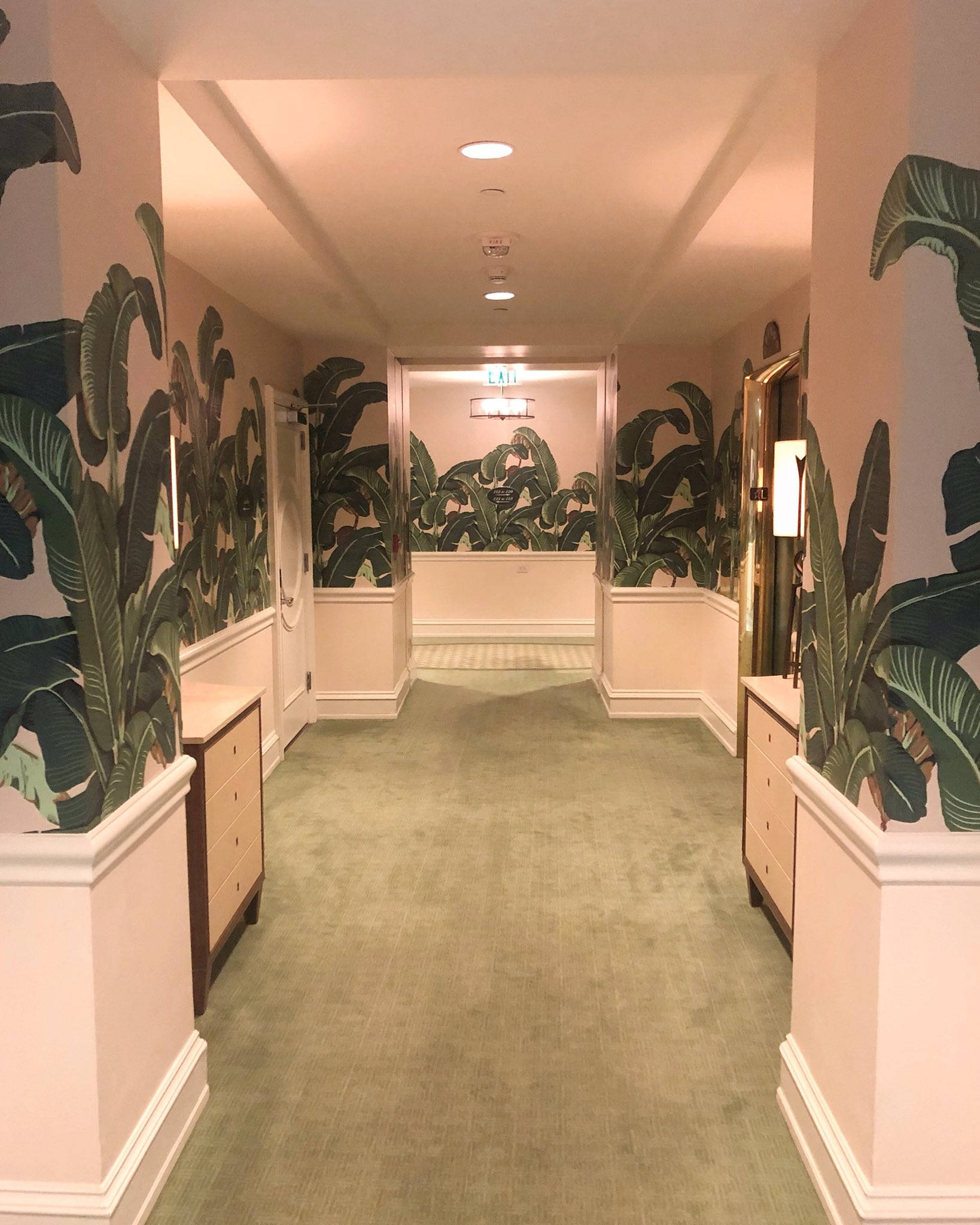 Beverly Hills Hotel, pink walls, lush green banana leaf wallpaper, Full HD Phone Wallpaper